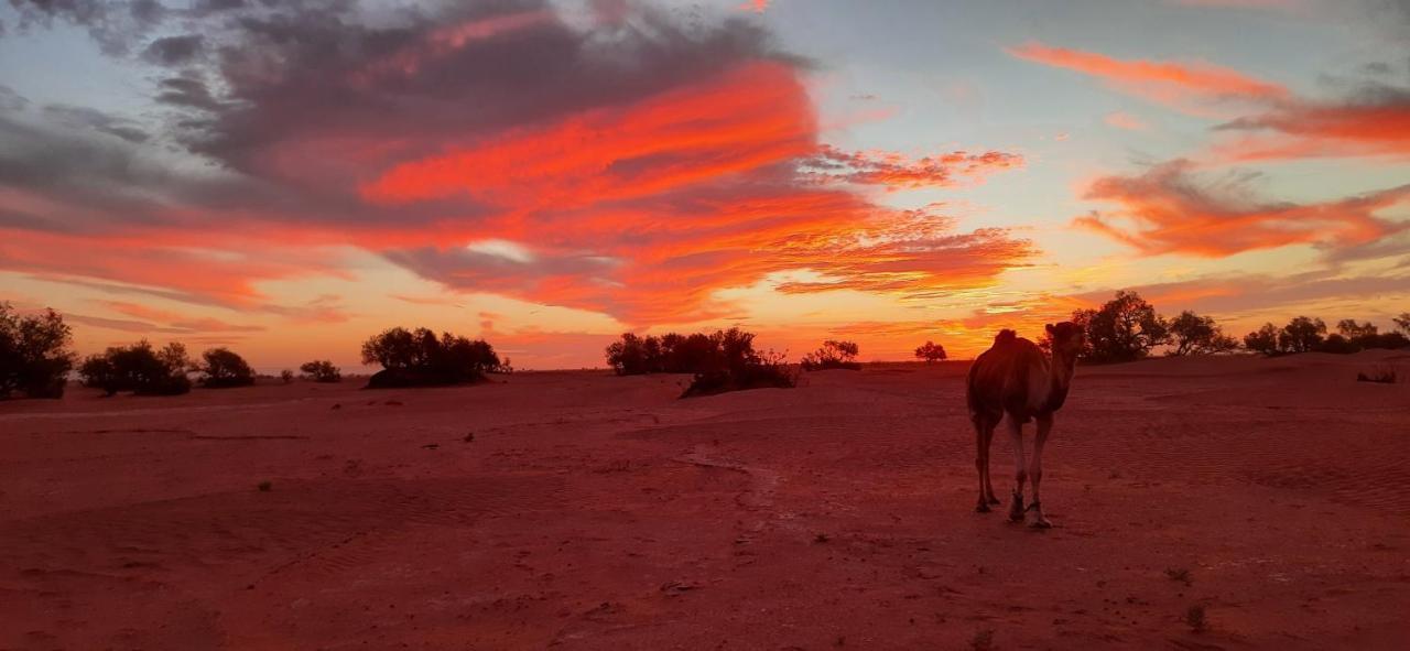 マハミド Erg Chegaga Nomad Tour Bed & Breakfast エクステリア 写真