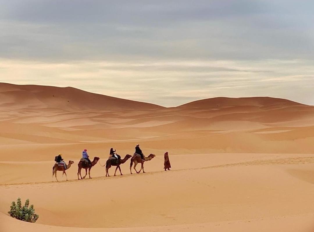 マハミド Erg Chegaga Nomad Tour Bed & Breakfast エクステリア 写真