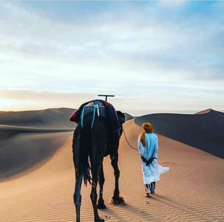 マハミド Erg Chegaga Nomad Tour Bed & Breakfast エクステリア 写真