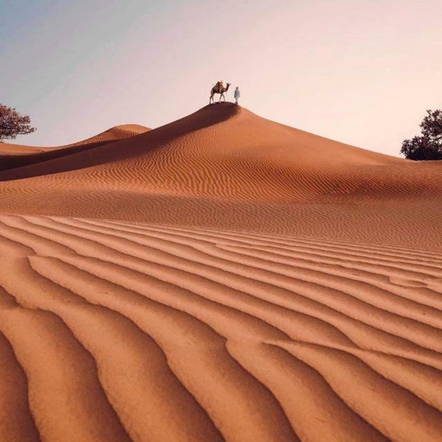 マハミド Erg Chegaga Nomad Tour Bed & Breakfast エクステリア 写真